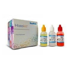 Perls - Histokit Para 60 Colorações - EP-11-20015 - Easypath